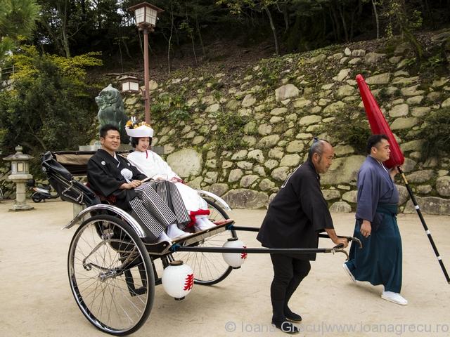 http://www.dreamstime.com/stock-image-traditional-japanese-wedding-couple-miyajima-island-image35101311